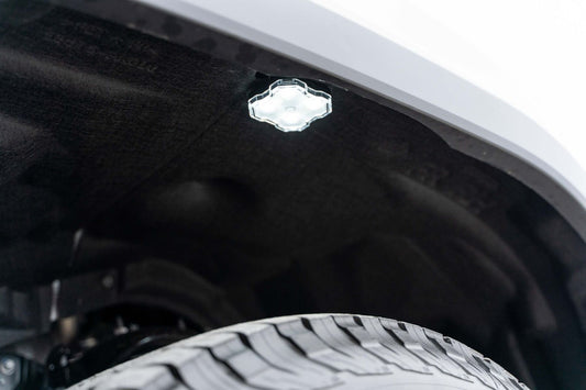 Stage Series Single-Color LED Rock Light (one)